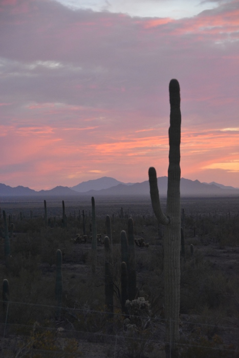 sunset from the Sunset Trail